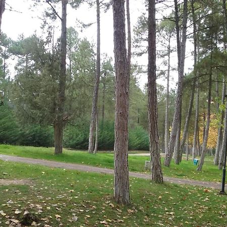 קואנקה Camping Caravaning Cuenca מראה חיצוני תמונה