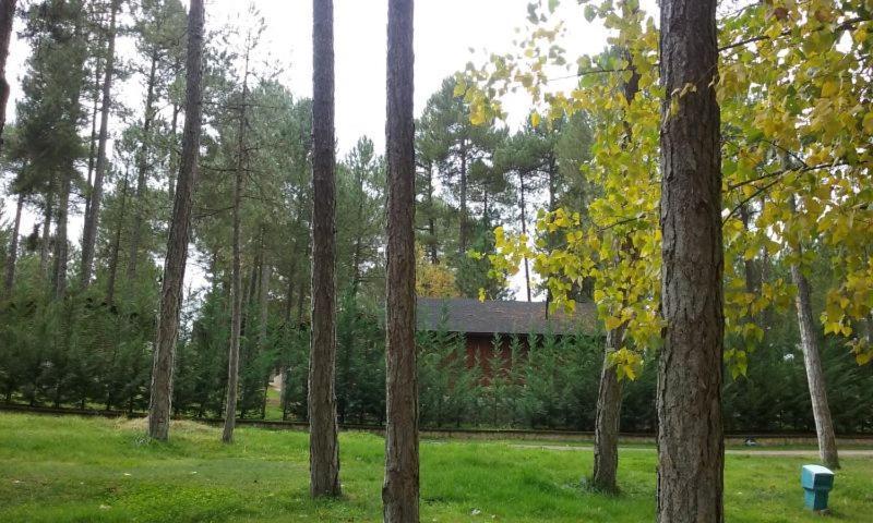 קואנקה Camping Caravaning Cuenca מראה חיצוני תמונה