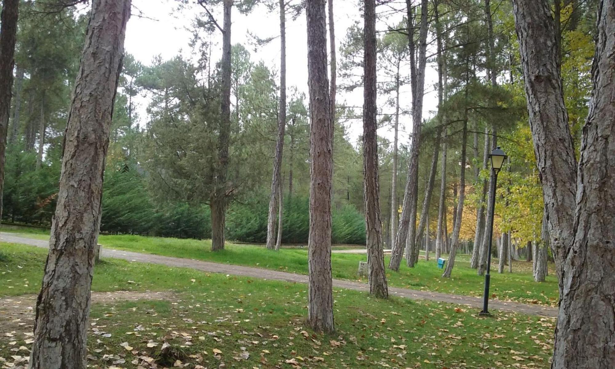 קואנקה Camping Caravaning Cuenca מראה חיצוני תמונה